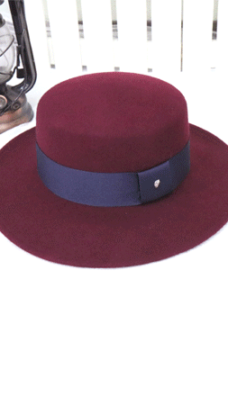 Ʈ������ ��Ÿ�� ���� �� �䵵��